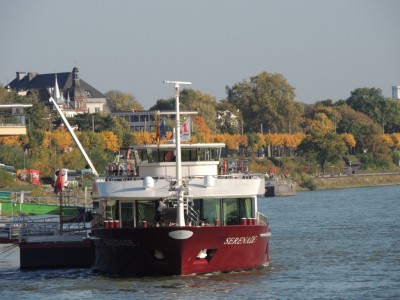 DSCN1279 (Medium).JPG (194.55 Kio) Vu 1346 fois DSCN1279 (Medium).JPG