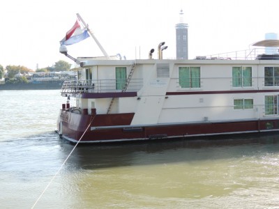 DSCN1399 (Medium).JPG (156.31 Kio) Vu 1340 fois DSCN1399 (Medium).JPG