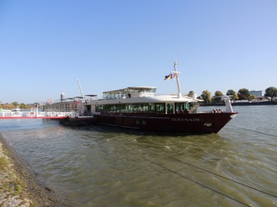 DSCN1401 (Medium).JPG (144.72 Kio) Vu 1340 fois DSCN1401 (Medium).JPG