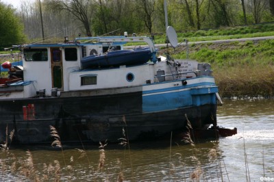 IMG_1881.JPG (118.62 Kio) Vu 4402 fois IMG_1881.JPG