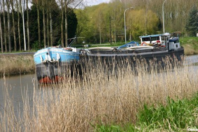 IMG_1875.JPG (171.41 Kio) Vu 4402 fois IMG_1875.JPG