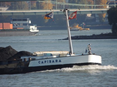 DSCN1285 (Medium).JPG (165.91 Kio) Vu 2331 fois DSCN1285 (Medium).JPG