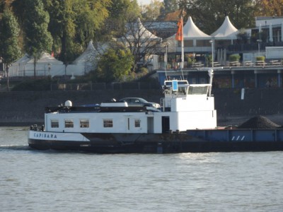 DSCN1291 (Medium).JPG (172.3 Kio) Vu 2329 fois DSCN1291 (Medium).JPG