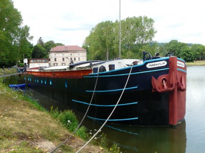 magnolia-xxxxxx-av.JPG