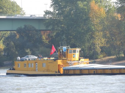 DSCN1298 (Medium).JPG (219.99 Kio) Vu 1917 fois DSCN1298 (Medium).JPG