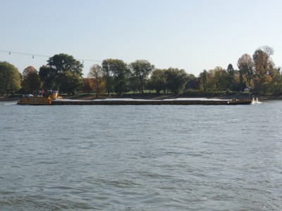 DSCN1299 (Medium).JPG (168.28 Kio) Vu 1917 fois DSCN1299 (Medium).JPG