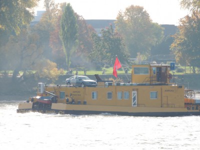 DSCN1303 (Medium).JPG (158.48 Kio) Vu 1838 fois DSCN1303 (Medium).JPG