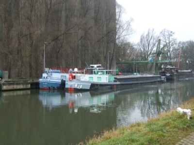 2008_1218x20059.JPG (110.98 Kio) Vu 22327 fois 2008_1218x20059.JPG