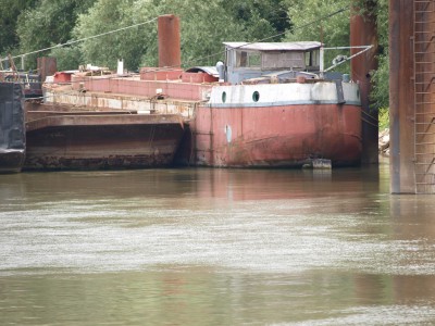 P7151239 (Copier).JPG