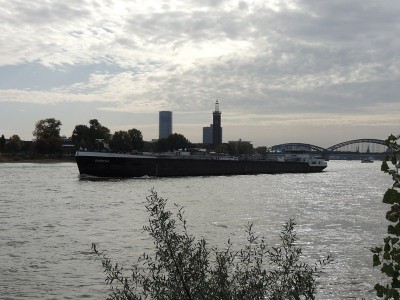 DSCN1491 (Copier).JPG (135.72 Kio) Vu 1367 fois DSCN1491 (Copier).JPG