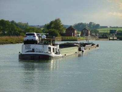 P1130810PUNKY.jpg (121.95 Kio) Vu 7098 fois P1130810PUNKY.jpg