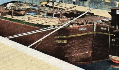 chalon-tana-CP-cap-1610.jpg