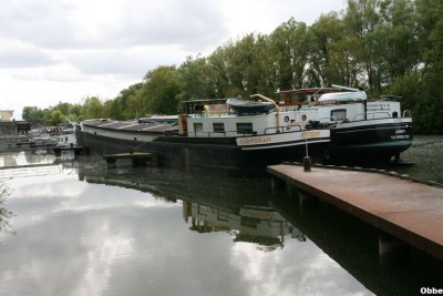 Cormoran 11.JPG (98.04 Kio) Vu 4282 fois Cormoran 11.JPG