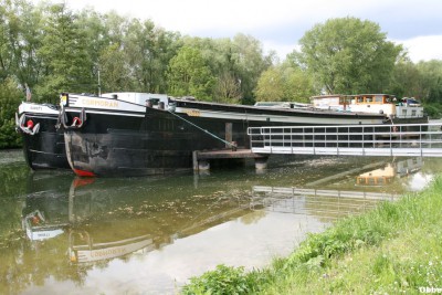 Cormoran 10.JPG (144.24 Kio) Vu 4277 fois Cormoran 10.JPG