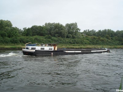 Cormoran 05.JPG (91.35 Kio) Vu 4277 fois Cormoran 05.JPG