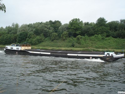 Cormoran 03.JPG (108.52 Kio) Vu 4282 fois Cormoran 03.JPG