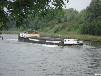 Cormoran 01.JPG (106.22 Kio) Vu 4282 fois Cormoran 01.JPG