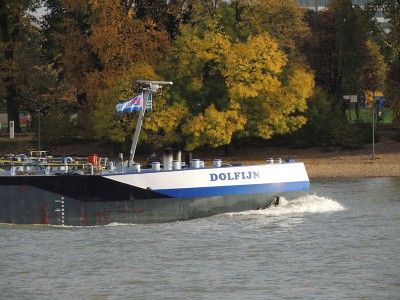 DSCN1579 (Copier).JPG (164.01 Kio) Vu 1492 fois DSCN1579 (Copier).JPG