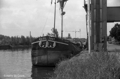 Brise Tout 06000572 (2).jpg