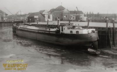 Leopold (9).jpg