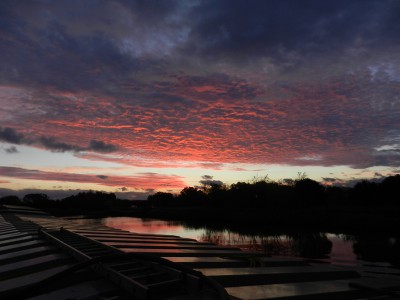 DSCN0509.JPG (294.36 Kio) Vu 3652 fois DSCN0509.JPG