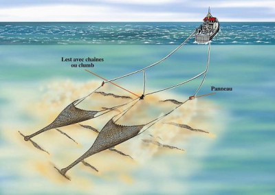 243chalutjumeau.jpg (55.29 Kio) Vu 5575 fois 243chalutjumeau.jpg