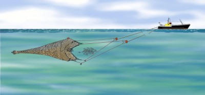 243chalutpelagique.jpg (24.56 Kio) Vu 5742 fois 243chalutpelagique.jpg