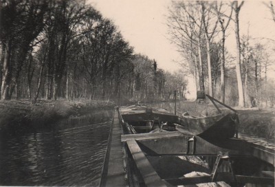 méduse 005.jpg