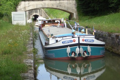 Scampolo 1.jpg (118.79 Kio) Vu 6362 fois Scampolo 1.jpg