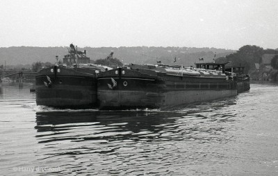 Carrelet_Eperlan2.jpg (136.45 Kio) Vu 1045 fois Carrelet_Eperlan2.jpg