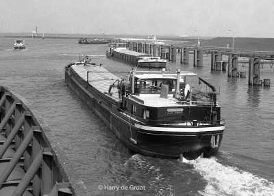 Marlie 03051661 (3).jpg (169.56 Kio) Vu 5120 fois Marlie 03051661 (3).jpg