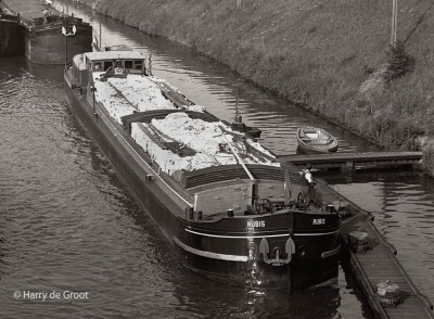 Rubis (1).jpg (184.41 Kio) Vu 10250 fois Rubis (1).jpg