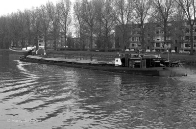 Adonis 06000781 (2).jpg (215.29 Kio) Vu 1679 fois Adonis 06000781 (2).jpg