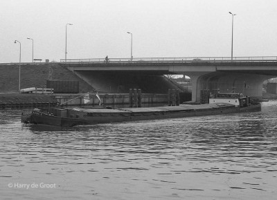 Adonis 06000781 (1).jpg (102.24 Kio) Vu 1679 fois Adonis 06000781 (1).jpg