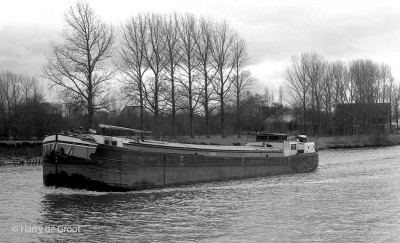 Alfons 06000840 (1).jpg