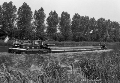 Amasus 02306004 (3).jpg (168.87 Kio) Vu 1986 fois Amasus 02306004 (3).jpg