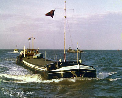 Animo III 2306004 02.jpg (80.63 Kio) Vu 1985 fois Animo III 2306004 02.jpg