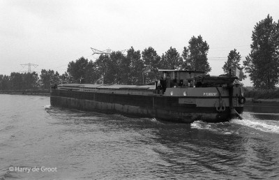 Ani Clau P13869F (4).jpg