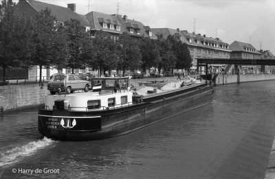 Antruso 02103911 (2).jpg (163.53 Kio) Vu 1682 fois Antruso 02103911 (2).jpg