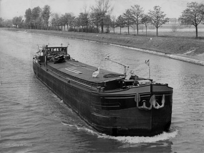 Arendje 02307663 (2).jpg (128.5 Kio) Vu 2058 fois Arendje 02307663 (2).jpg