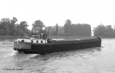 Asoka 06001101 (2).jpg (100.26 Kio) Vu 1140 fois Asoka 06001101 (2).jpg