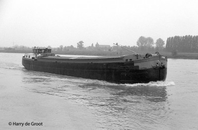 Asoka 06001101 (1).jpg (123.27 Kio) Vu 1140 fois Asoka 06001101 (1).jpg