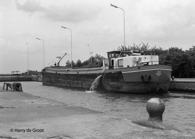 Bianca 06001500 (3).jpg (155.89 Kio) Vu 1289 fois Bianca 06001500 (3).jpg