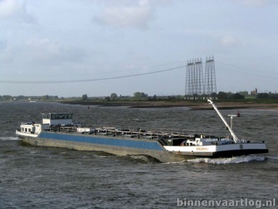 edelweiss-1-29-10-2006.jpg (123.63 Kio) Vu 1633 fois edelweiss-1-29-10-2006.jpg