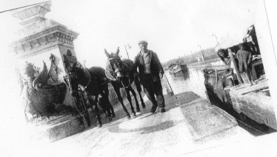 trimardeur (3).jpg (129.58 Kio) Vu 1000 fois trimardeur (3).jpg