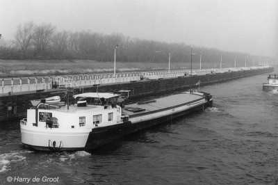 Calypso 01821983 (2).jpg