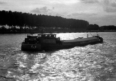 Dieu l'a voulu 02.jpg (214.55 Kio) Vu 3268 fois Dieu l'a voulu 02.jpg