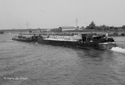 Egelantine P12432F (1).jpg (192.34 Kio) Vu 2895 fois Egelantine P12432F (1).jpg