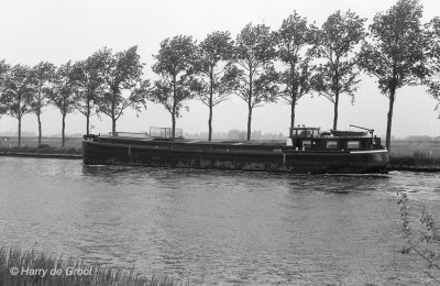 Erato 02315306 (2).jpg (218.57 Kio) Vu 5692 fois Erato 02315306 (2).jpg