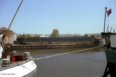 Esha 7 AE18243B (10).jpg